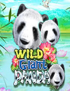 รีวิว slot demo roma สนุกสุดมันส์ สไตล์โรมัน